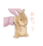 うさぎ〜むく〜（個別スタンプ：22）