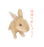 うさぎ〜むく〜（個別スタンプ：24）