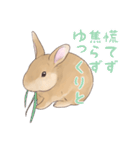 うさぎ〜むく〜（個別スタンプ：27）