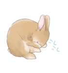 うさぎ〜むく〜（個別スタンプ：34）