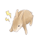 うさぎ〜むく〜（個別スタンプ：36）