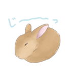 うさぎ〜むく〜（個別スタンプ：37）