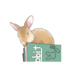 うさぎ〜むく〜（個別スタンプ：40）