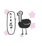 【毎年使える！】お花見に誘うダチョウ（個別スタンプ：2）