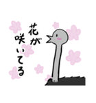 【毎年使える！】お花見に誘うダチョウ（個別スタンプ：16）