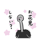 【毎年使える！】お花見に誘うダチョウ（個別スタンプ：17）