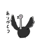 【毎年使える！】お花見に誘うダチョウ（個別スタンプ：24）