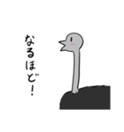 【毎年使える！】お花見に誘うダチョウ（個別スタンプ：35）