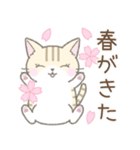 【春】毎日使える☆トラ猫さん（個別スタンプ：1）