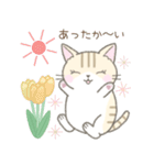 【春】毎日使える☆トラ猫さん（個別スタンプ：3）