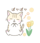 【春】毎日使える☆トラ猫さん（個別スタンプ：4）