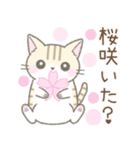 【春】毎日使える☆トラ猫さん（個別スタンプ：7）