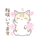 【春】毎日使える☆トラ猫さん（個別スタンプ：8）