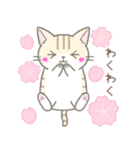 【春】毎日使える☆トラ猫さん（個別スタンプ：9）