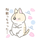 【春】毎日使える☆トラ猫さん（個別スタンプ：10）