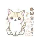 【春】毎日使える☆トラ猫さん（個別スタンプ：11）