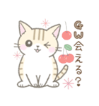 【春】毎日使える☆トラ猫さん（個別スタンプ：12）