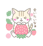 【春】毎日使える☆トラ猫さん（個別スタンプ：13）