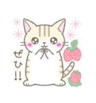 【春】毎日使える☆トラ猫さん（個別スタンプ：14）