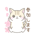 【春】毎日使える☆トラ猫さん（個別スタンプ：15）