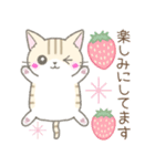【春】毎日使える☆トラ猫さん（個別スタンプ：16）