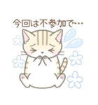 【春】毎日使える☆トラ猫さん（個別スタンプ：17）