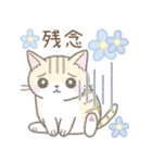 【春】毎日使える☆トラ猫さん（個別スタンプ：19）