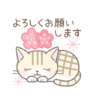 【春】毎日使える☆トラ猫さん（個別スタンプ：20）
