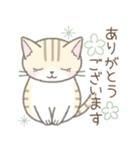 【春】毎日使える☆トラ猫さん（個別スタンプ：22）