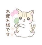 【春】毎日使える☆トラ猫さん（個別スタンプ：24）