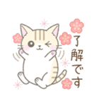 【春】毎日使える☆トラ猫さん（個別スタンプ：25）