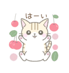【春】毎日使える☆トラ猫さん（個別スタンプ：26）