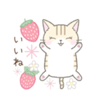 【春】毎日使える☆トラ猫さん（個別スタンプ：27）