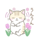 【春】毎日使える☆トラ猫さん（個別スタンプ：28）