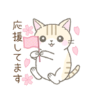 【春】毎日使える☆トラ猫さん（個別スタンプ：33）
