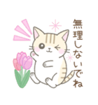 【春】毎日使える☆トラ猫さん（個別スタンプ：34）