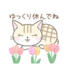 【春】毎日使える☆トラ猫さん（個別スタンプ：35）
