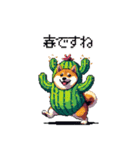 春を迎えるサボテン太っちょ柴犬（個別スタンプ：1）