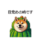 春を迎えるサボテン太っちょ柴犬（個別スタンプ：4）