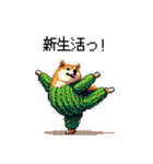 春を迎えるサボテン太っちょ柴犬（個別スタンプ：5）