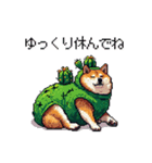 春を迎えるサボテン太っちょ柴犬（個別スタンプ：8）