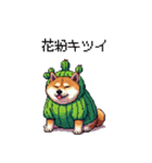春を迎えるサボテン太っちょ柴犬（個別スタンプ：10）
