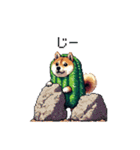 春を迎えるサボテン太っちょ柴犬（個別スタンプ：11）