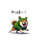 春を迎えるサボテン太っちょ柴犬（個別スタンプ：16）