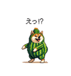 春を迎えるサボテン太っちょ柴犬（個別スタンプ：17）