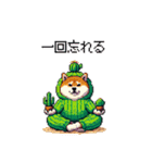 春を迎えるサボテン太っちょ柴犬（個別スタンプ：27）