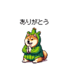 春を迎えるサボテン太っちょ柴犬（個別スタンプ：29）