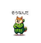 春を迎えるサボテン太っちょ柴犬（個別スタンプ：36）