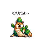 春を迎えるサボテン太っちょ柴犬（個別スタンプ：37）