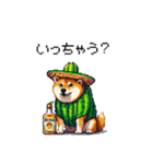 春を迎えるサボテン太っちょ柴犬（個別スタンプ：40）